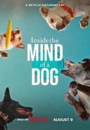 Inside-the-Mind-of-a-Dog-2024-อ่านใจสุนัข-187x269
