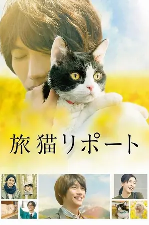 the-travelling-cat-chronicles-2018-ผม-แมว-และการเดินทางของเรา